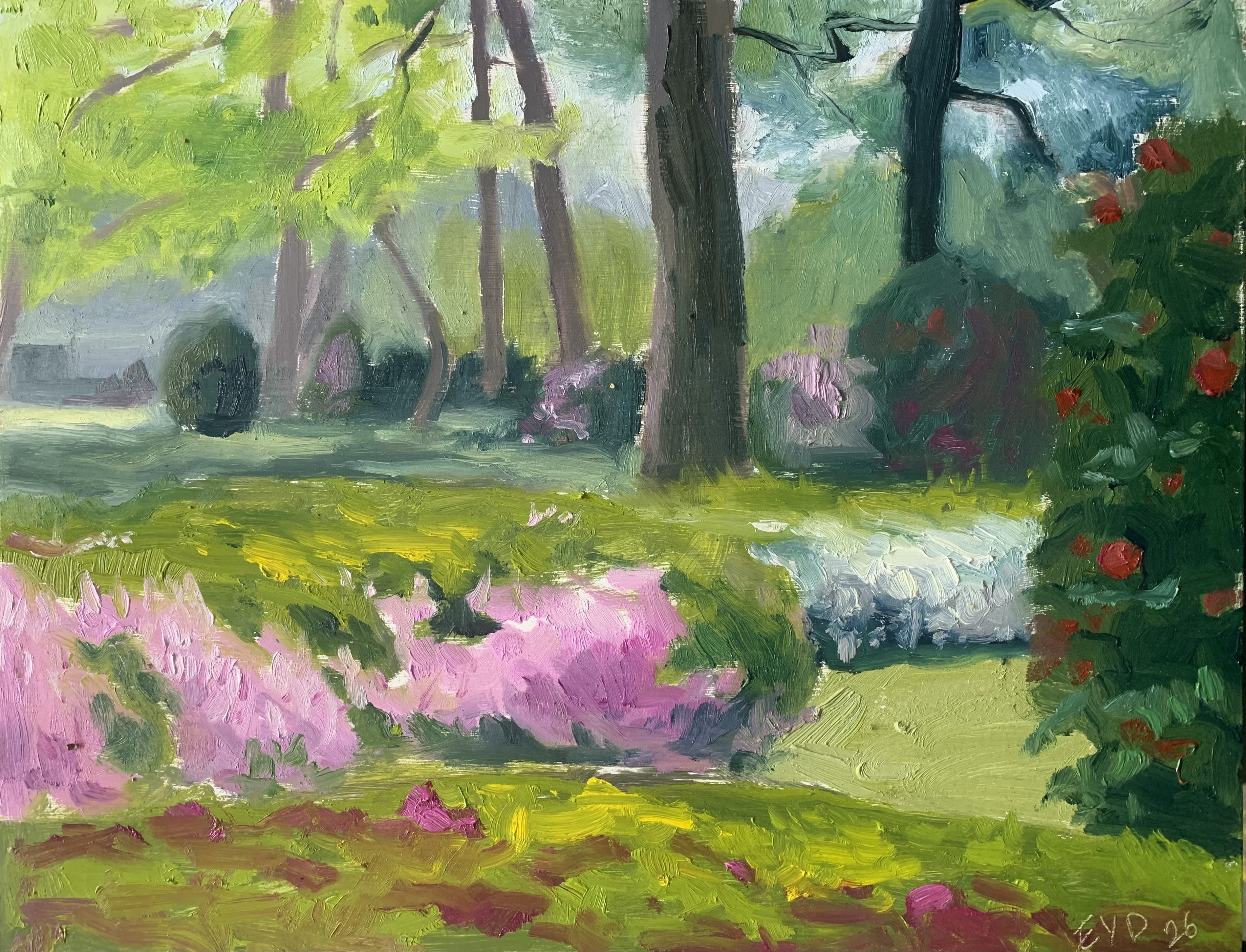 Azalea and Camellia Flowers at Hampton Park- Downtown Camden, South Carolina – April 2026